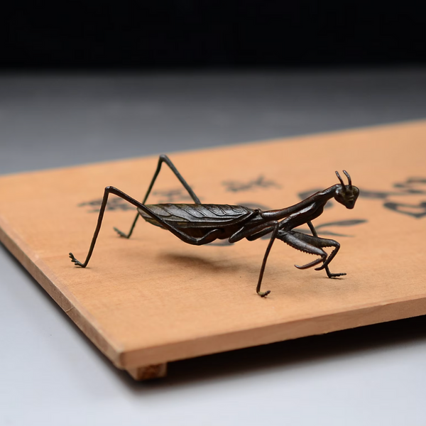 ご覧頂きありがとうございました♪ praying mantisです。 Japanese Praying Mantis