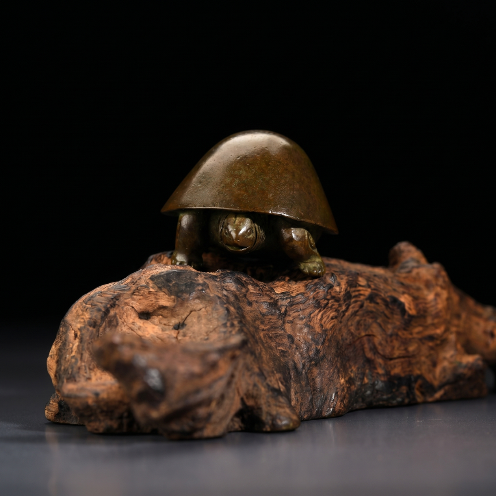 Japanese Meji Turtle