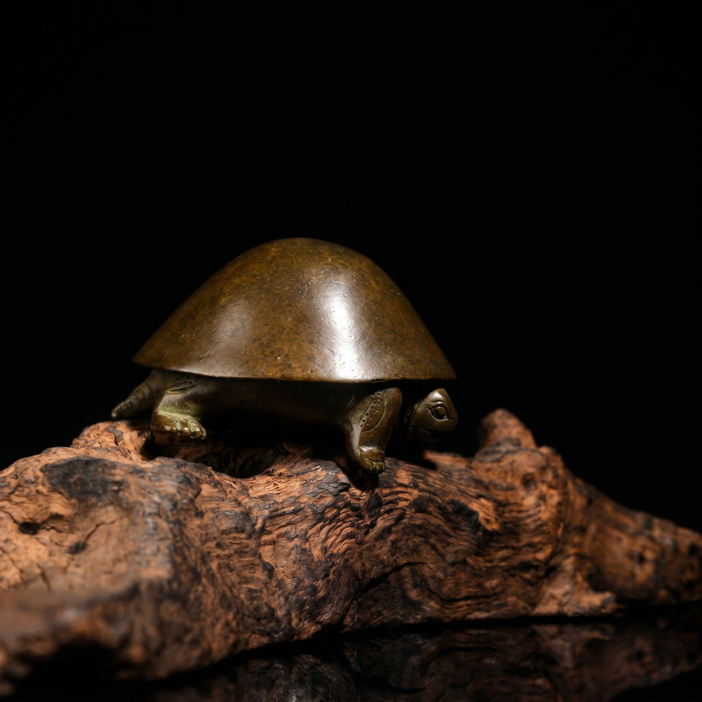 Japanese Meji Turtle
