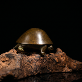 Japanese Meji Turtle