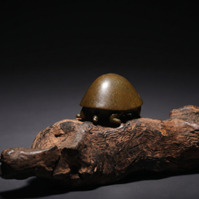 Japanese Meji Turtle