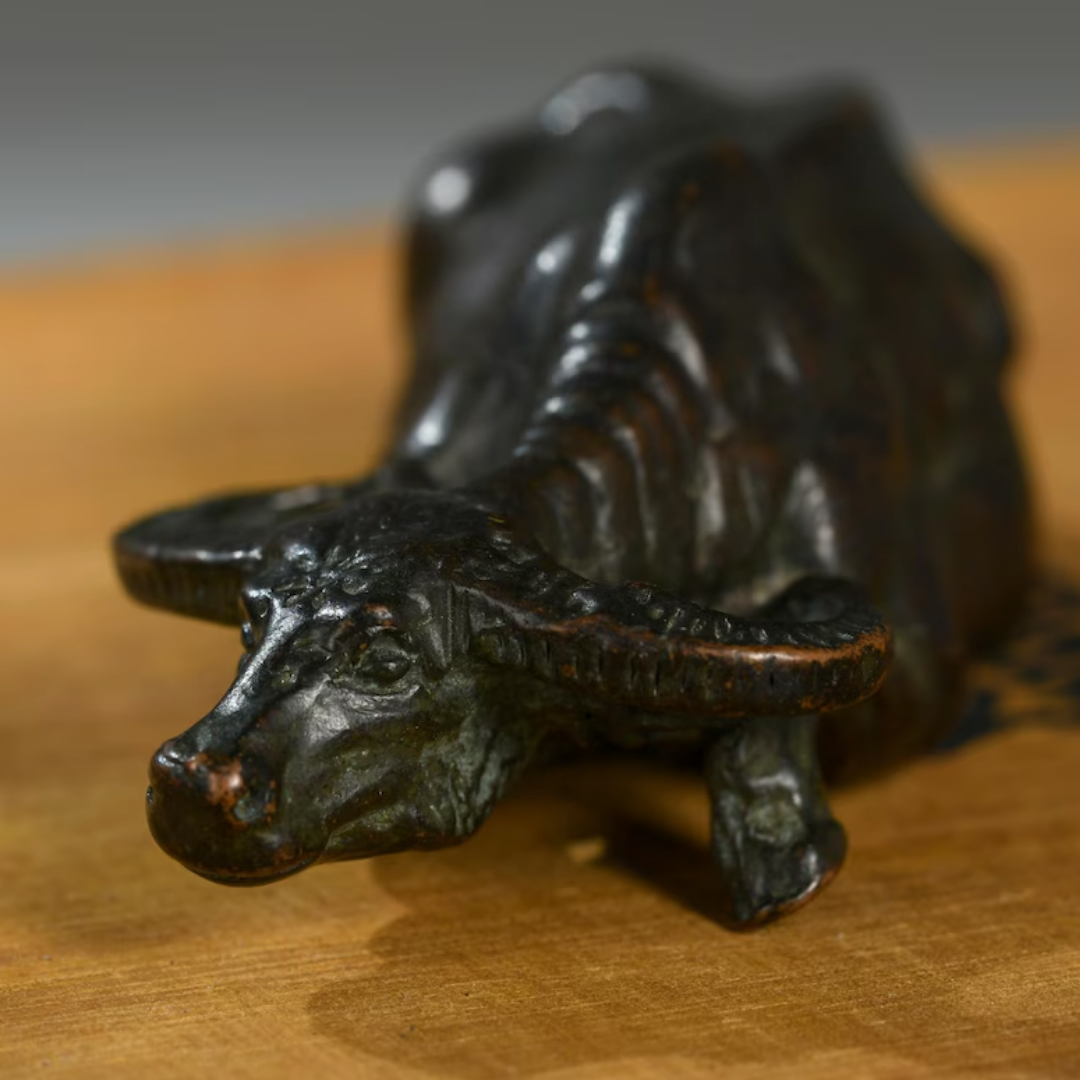 Japanese Buffalo